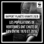 Rapport Planète vivante 2020 - un SOS pour la nature