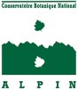 Alpin