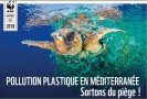 Pollution plastique en Méditerranée, sortons du piège