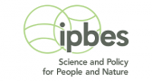 Rapports d'évaluation de l'IPBES