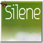SILENE