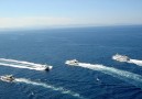 Bilan 2019 de l'état écologique des poissons marins pêchés en France